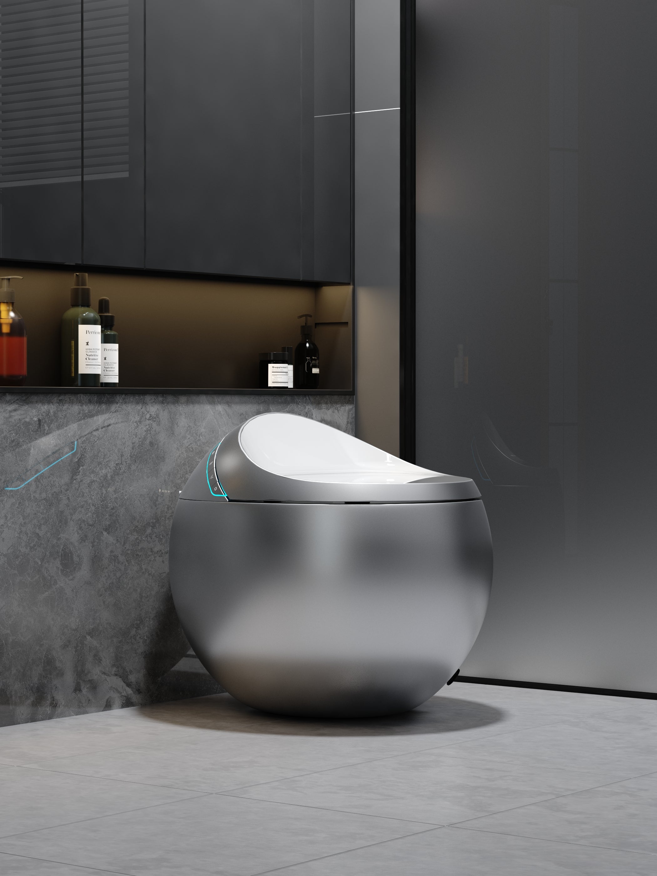 Toilette japonaise Hoshi