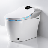 Samouraï Japanese toilet