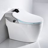 Samouraï Japanese toilet