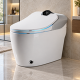 Samouraï Japanese toilet