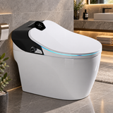 Samouraï Japanese toilet