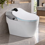 Samouraï Japanese toilet