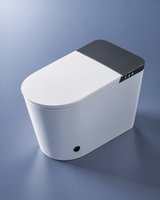Toilette japonaise Metsuke