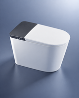 Toilette japonaise Metsuke