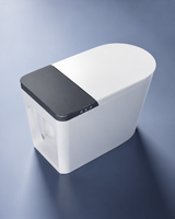 Toilette japonaise Metsuke