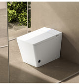 Shinobi Japanese toilet