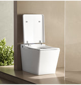 Shinobi Japanese toilet
