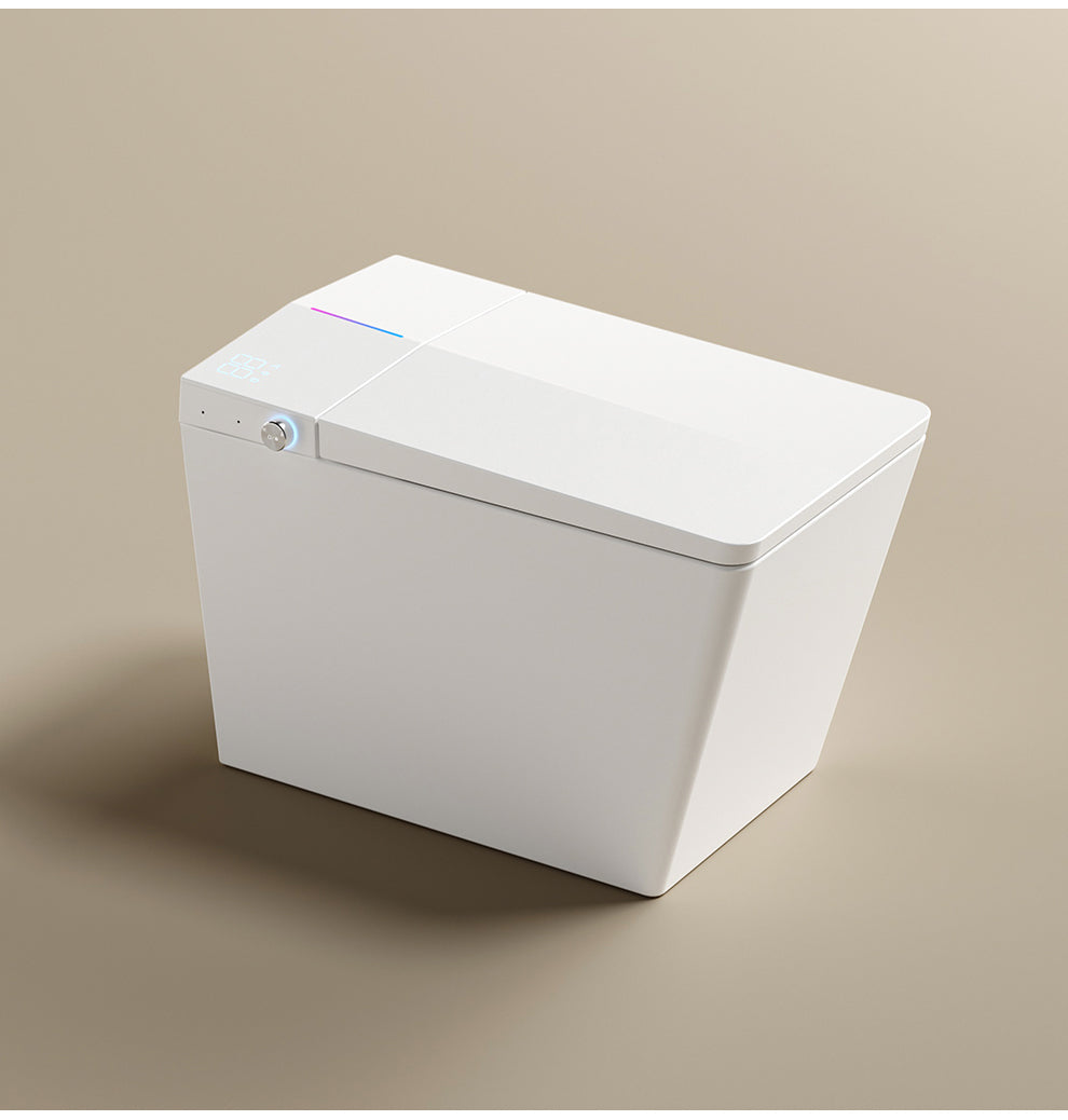 Shinobi Japanese toilet
