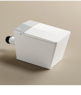 Shinobi Japanese toilet
