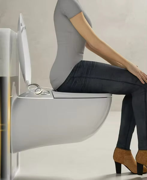 WC suspendu japonais Ronin