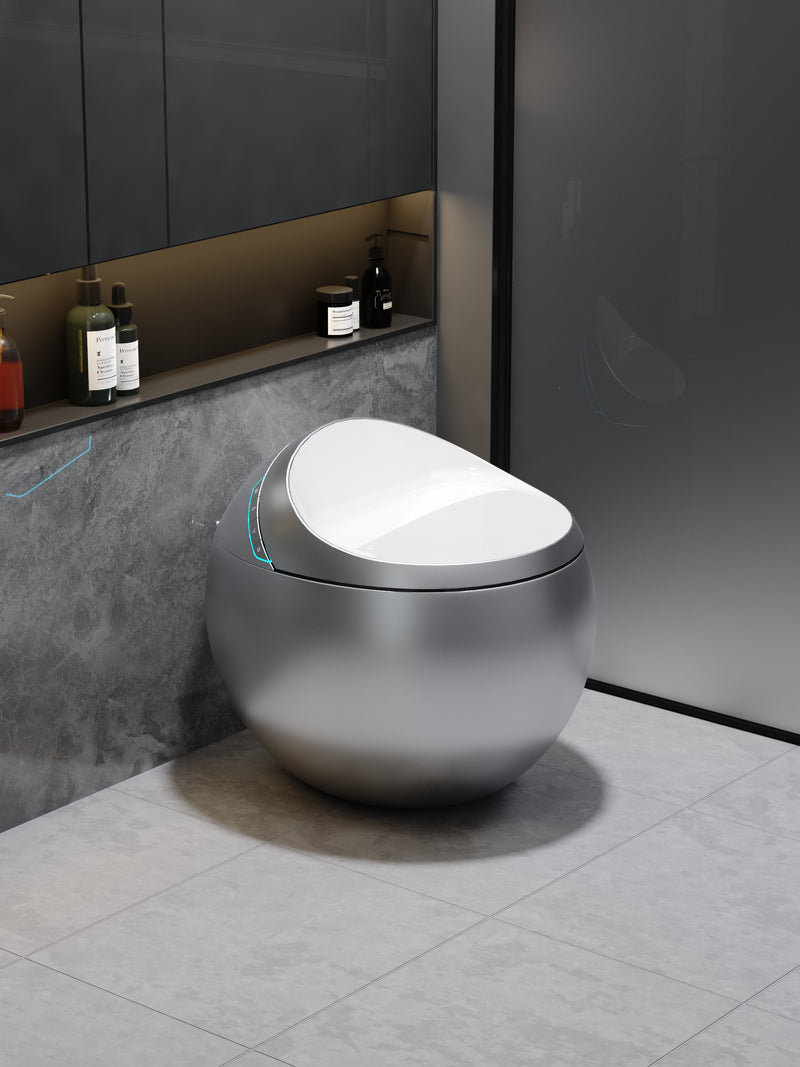 WC japonais Hoshi