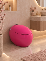 Dojo Japanese toilet