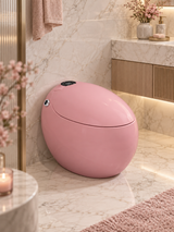 Dojo Japanese toilet