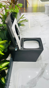 Shinobi Japanese toilet