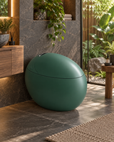 Kirei Japanese toilet – Premium