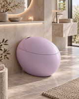 Kirei Japanese toilet – Premium