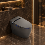 Ninja Japanese toilet