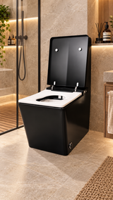 Shinobi Japanese toilet