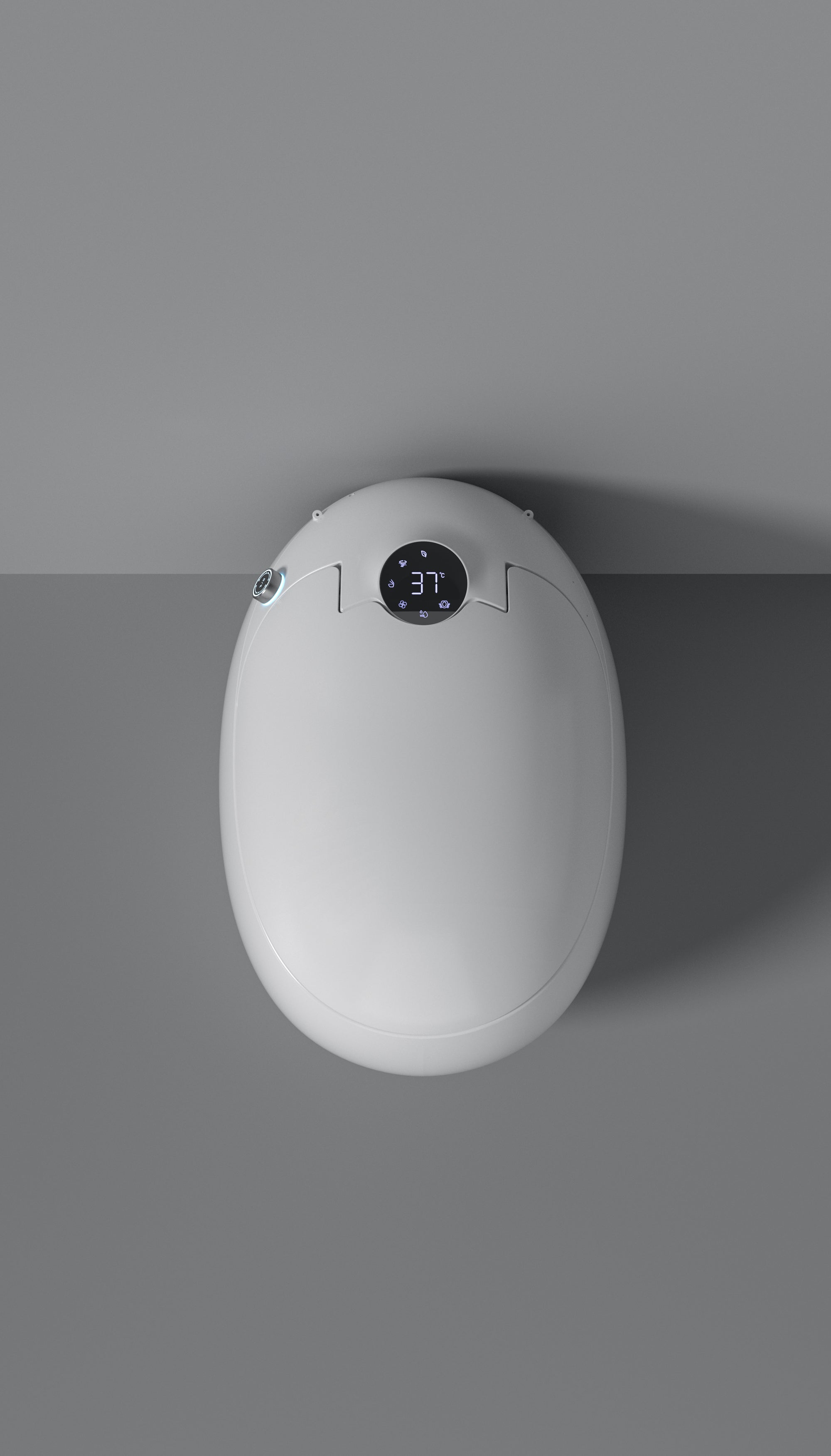 Dojo Japanese modern toilet