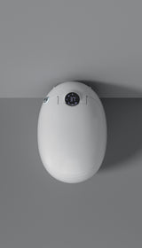 Dojo Japanese toilet
