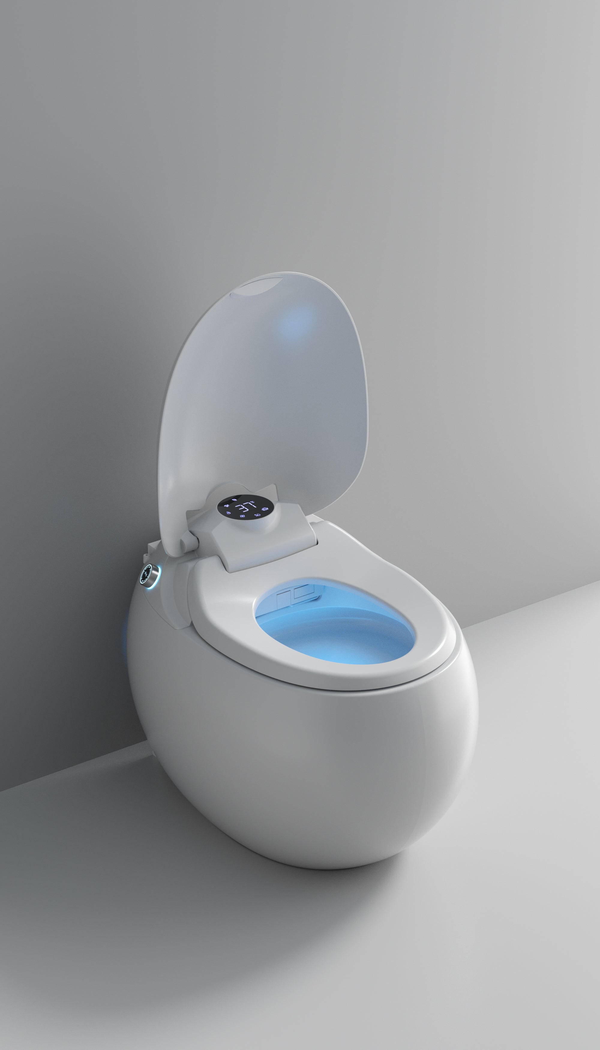 Dojo Japanese modern toilet