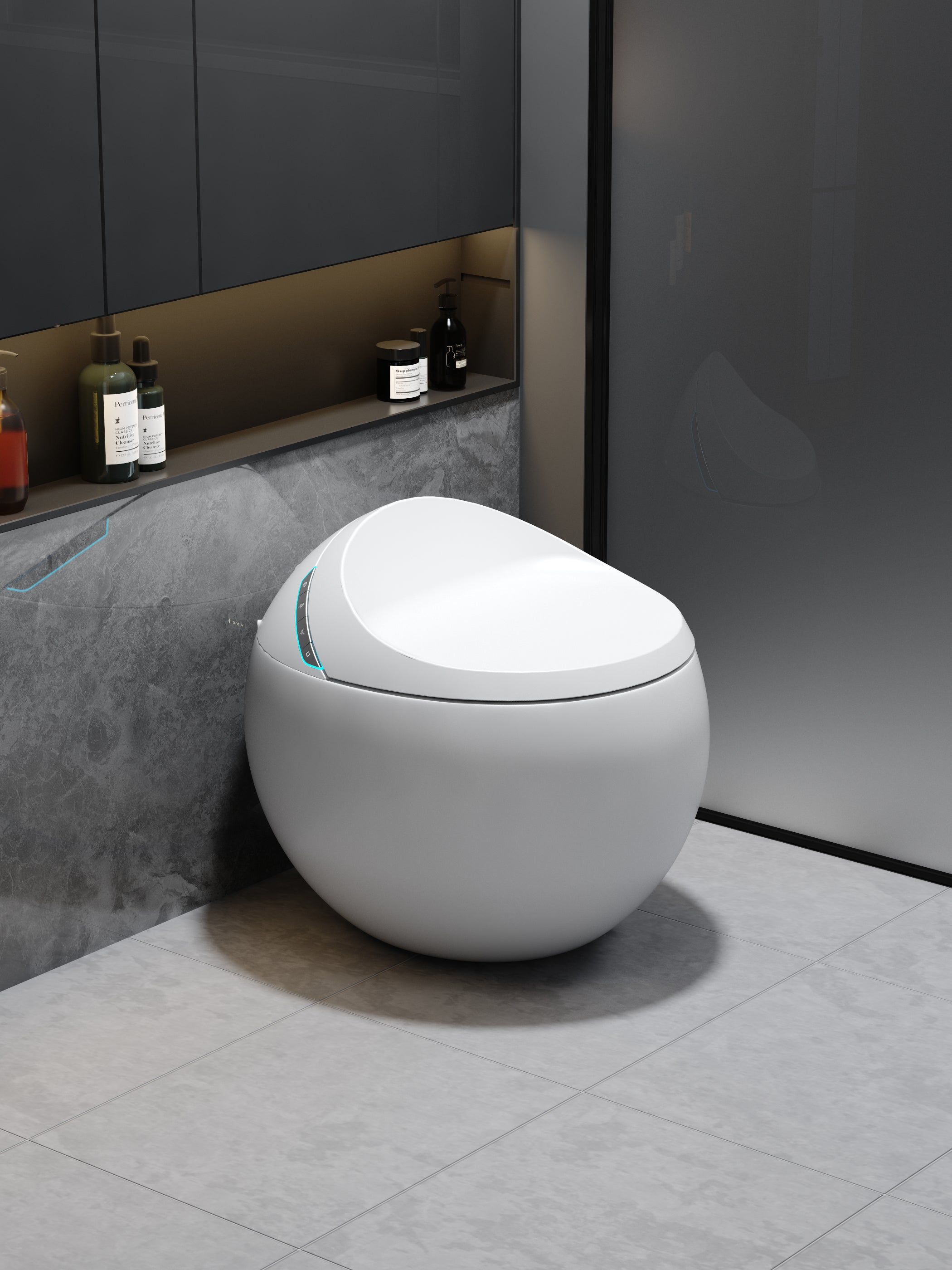 Toilette japonaise Hoshi