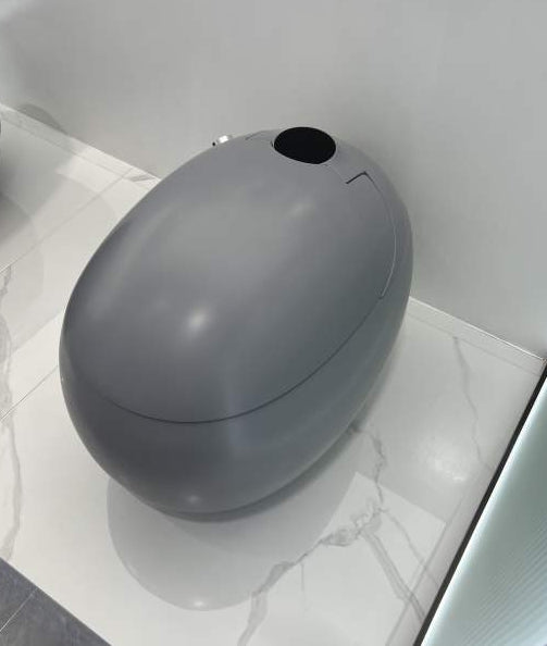 Dojo Japanese modern toilet