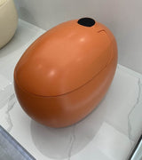 Dojo Japanese toilet
