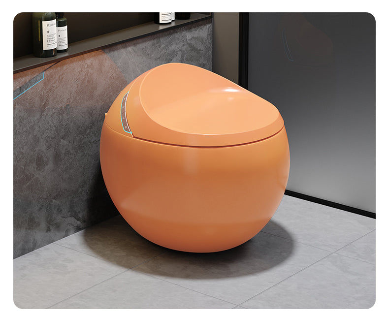 Toilette japonaise Hoshi