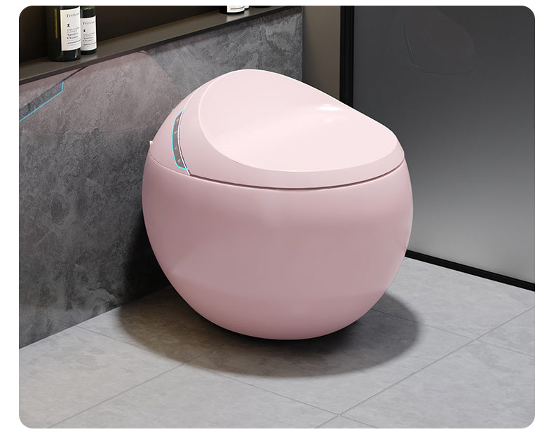 Toilette japonaise Hoshi