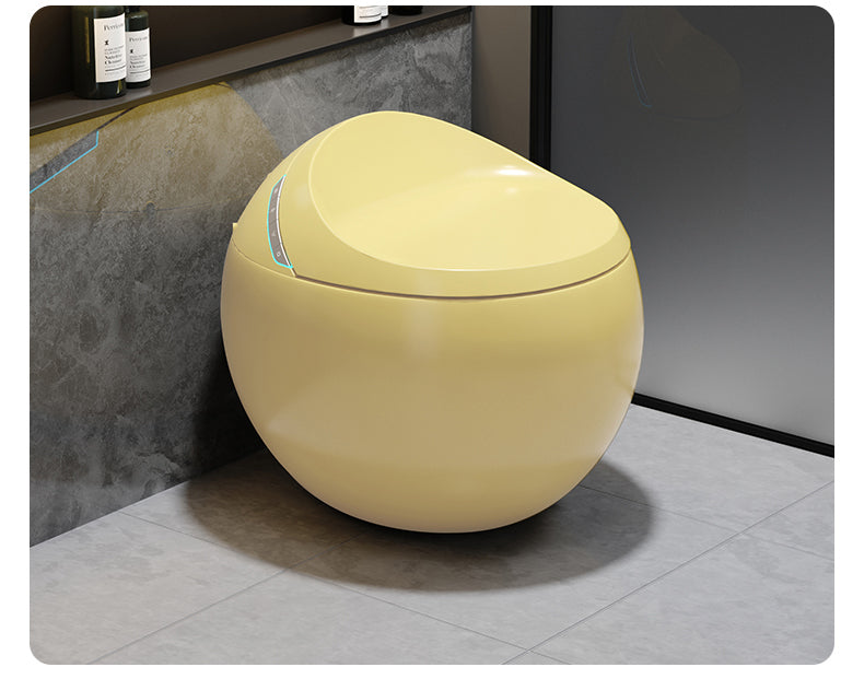 Toilette japonaise Hoshi