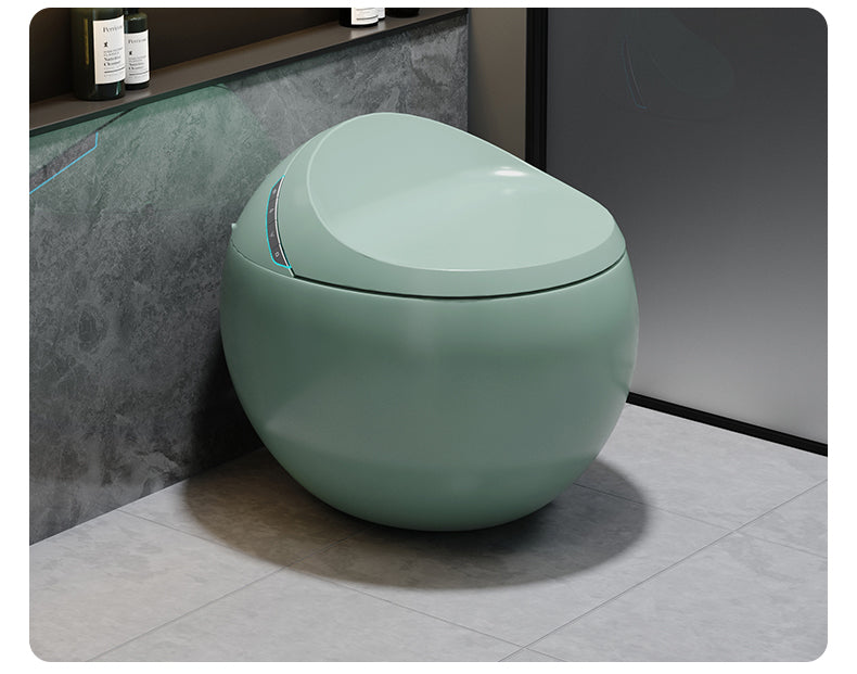Toilette japonaise Hoshi