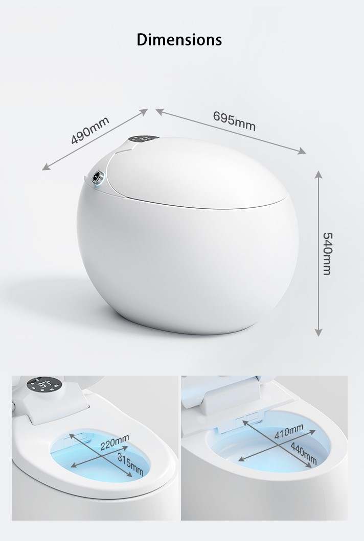Dojo Japanese modern toilet