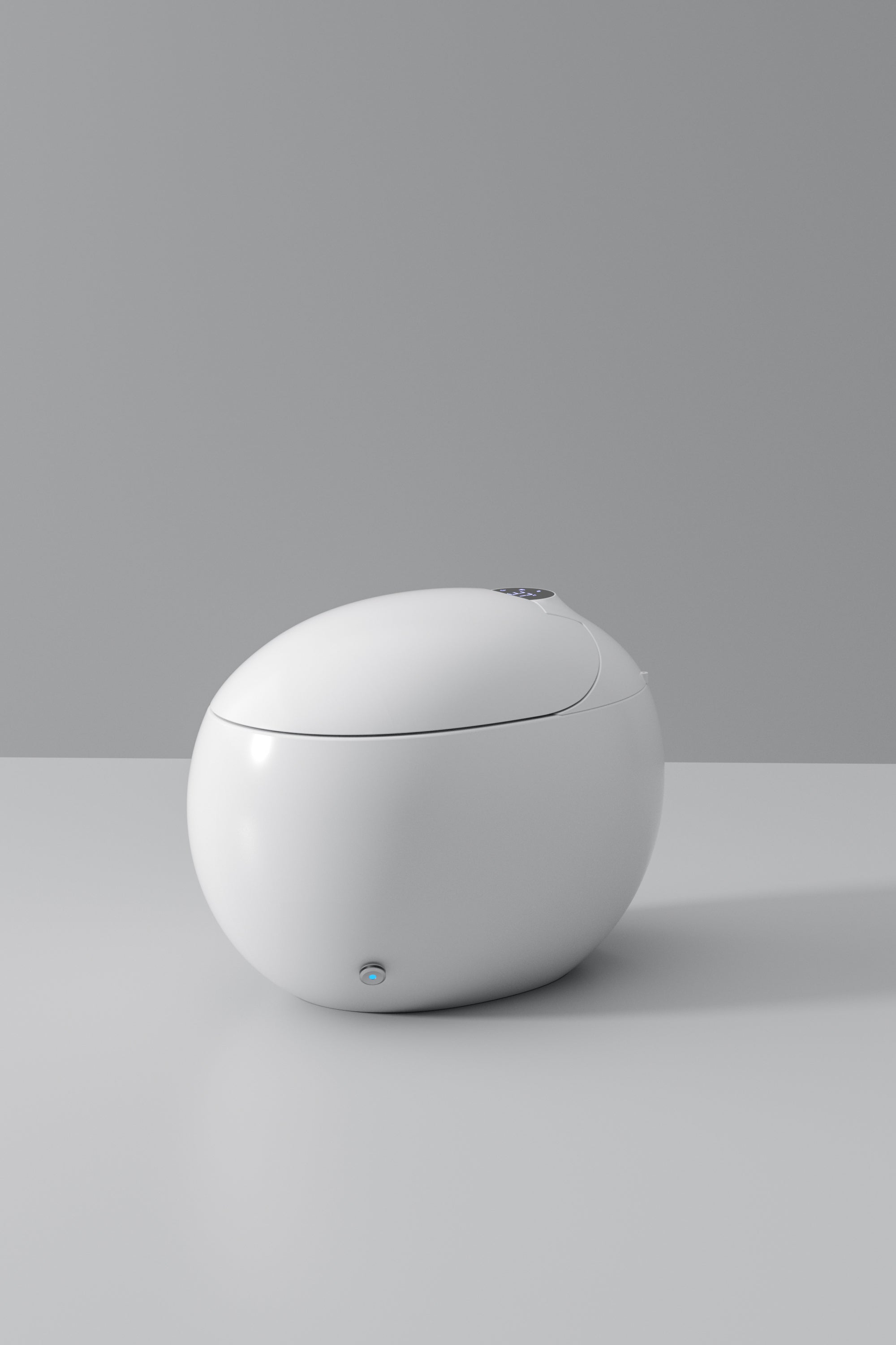 Dojo Japanese modern toilet