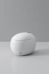 Dojo Japanese toilet