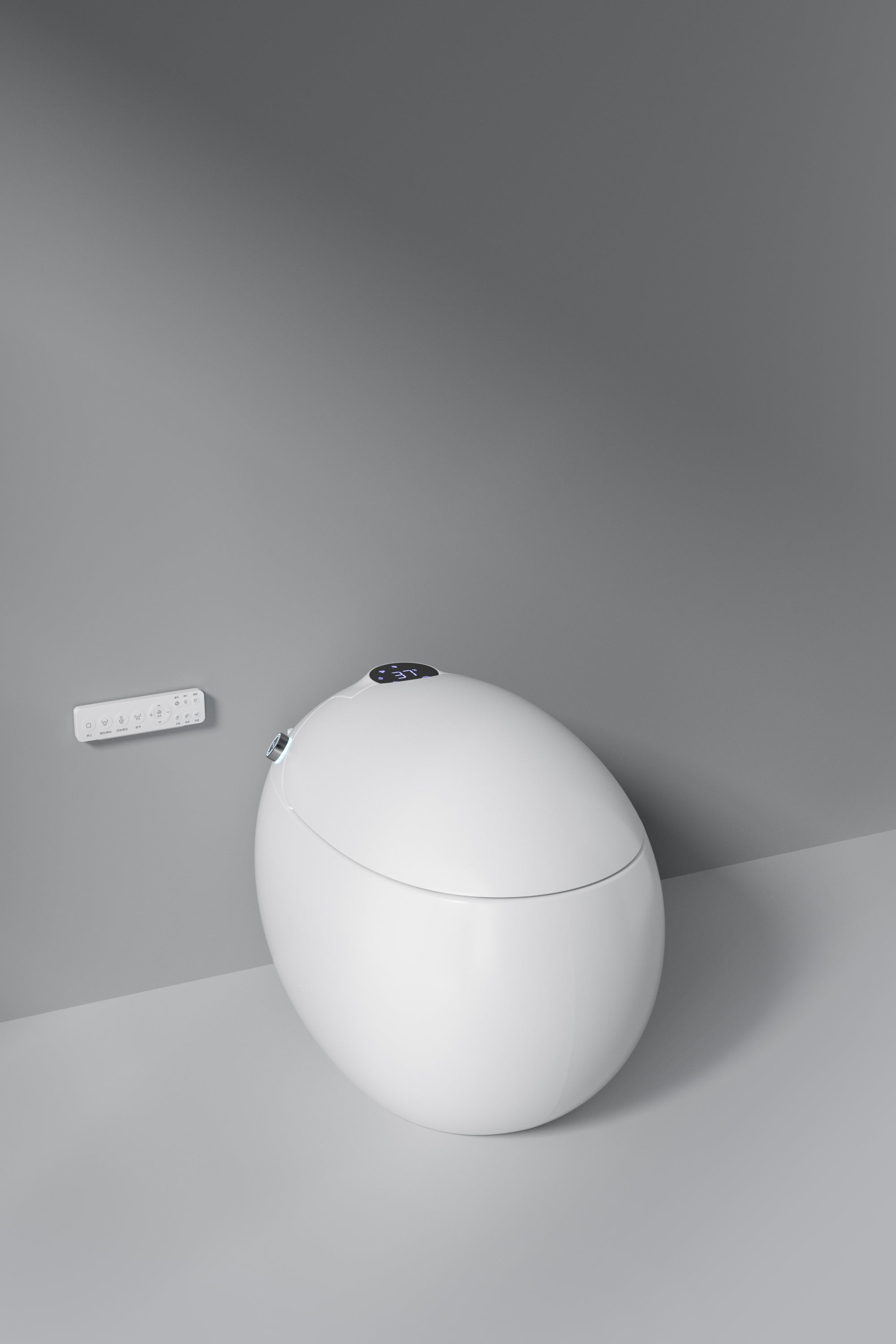 Dojo Japanese modern toilet
