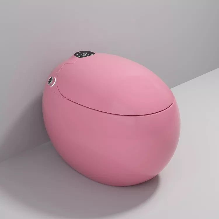Dojo Japanese modern toilet