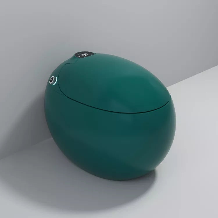 Dojo Japanese modern toilet