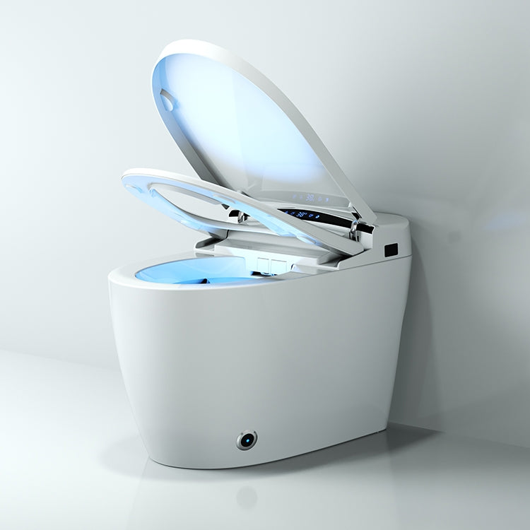 Modern Japanese Ninja Toilet