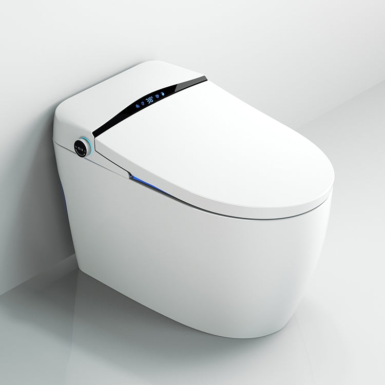 Modern Japanese Ninja Toilet