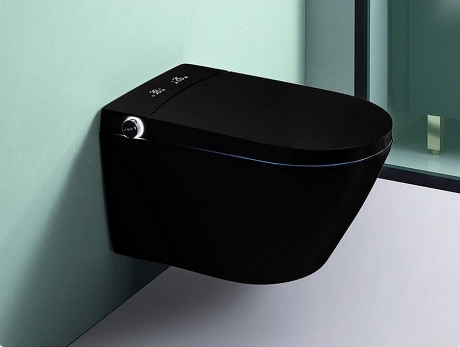 Modern Japanese wall hung toilet Fuji