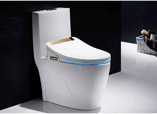 Toilette Japonaise-YEAUPE PRO WC Japonais Non éLectrique, Bidet Toilette  wc, Bidet Portable, PulvéRisateur Bidet à Double Buse, Toilettes  Portatives