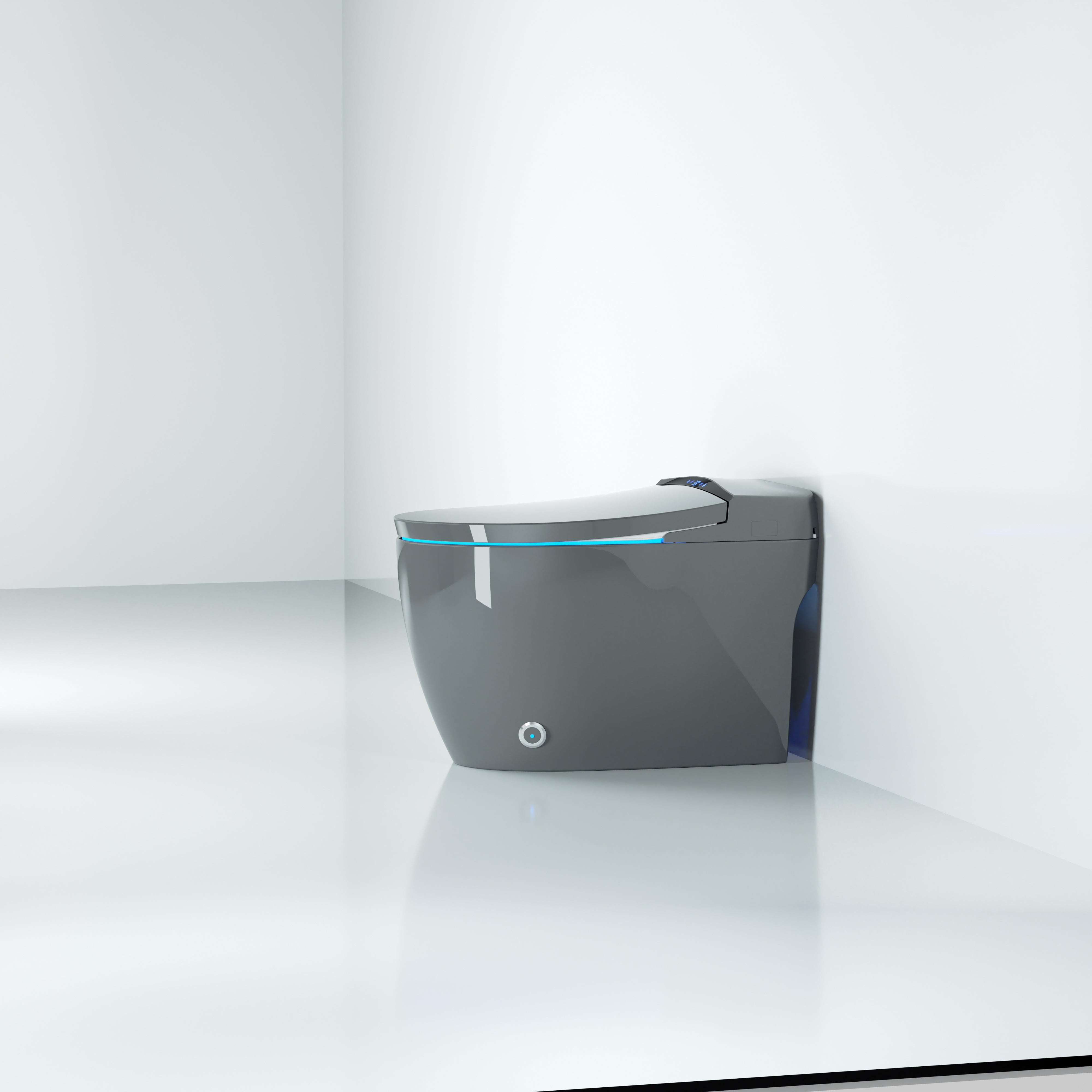 Modern Japanese Ninja Toilet