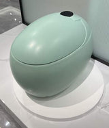 Dojo Japanese toilet