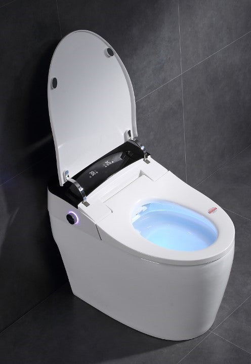Japanese modern toilet Daimyo
