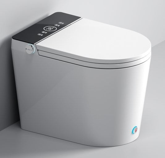 Kawaii Japanese Toilet (Small Size)