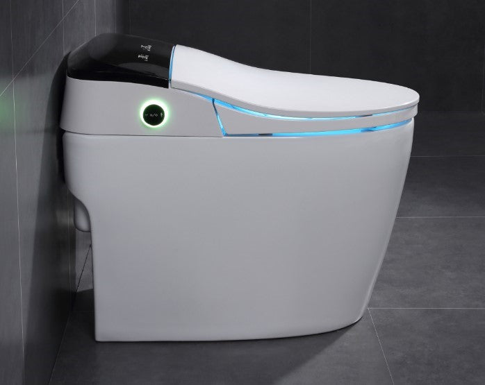 Japanese modern toilet Daimyo