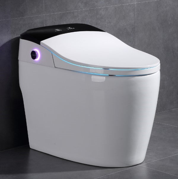 Japanese modern toilet Daimyo