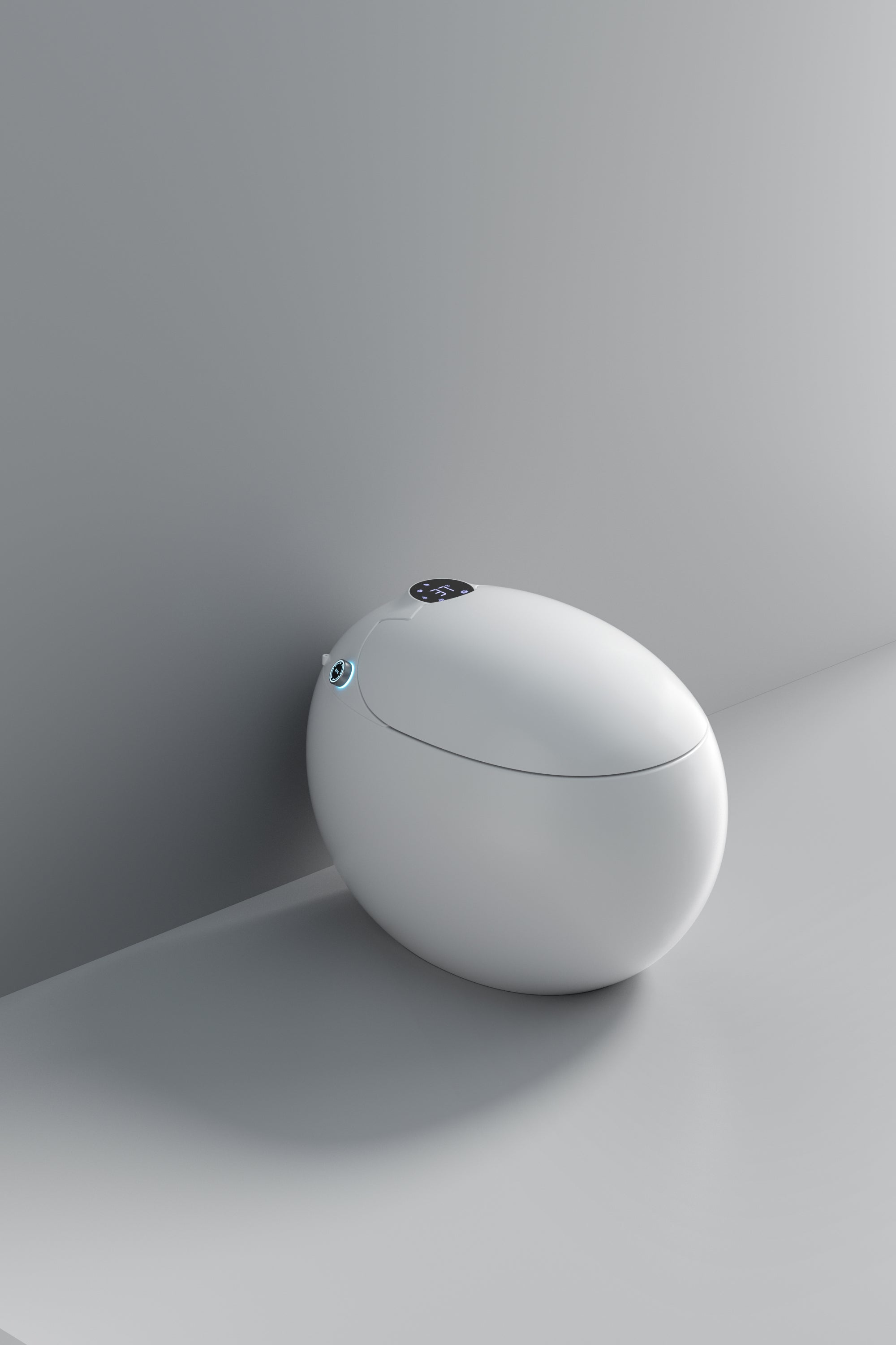 Dojo Japanese modern toilet