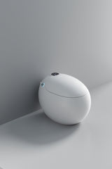 Dojo Japanese toilet